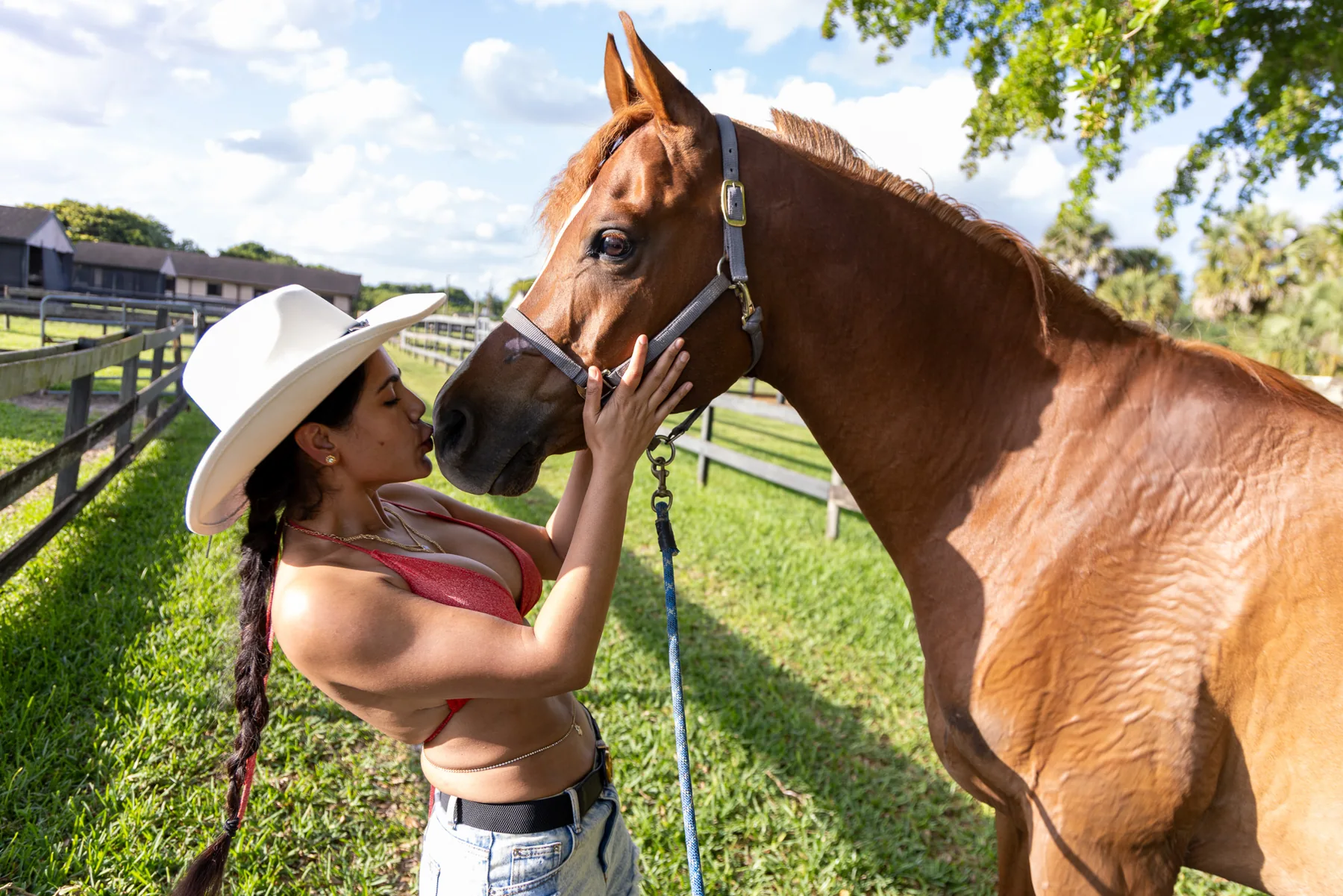 Portrait with horse